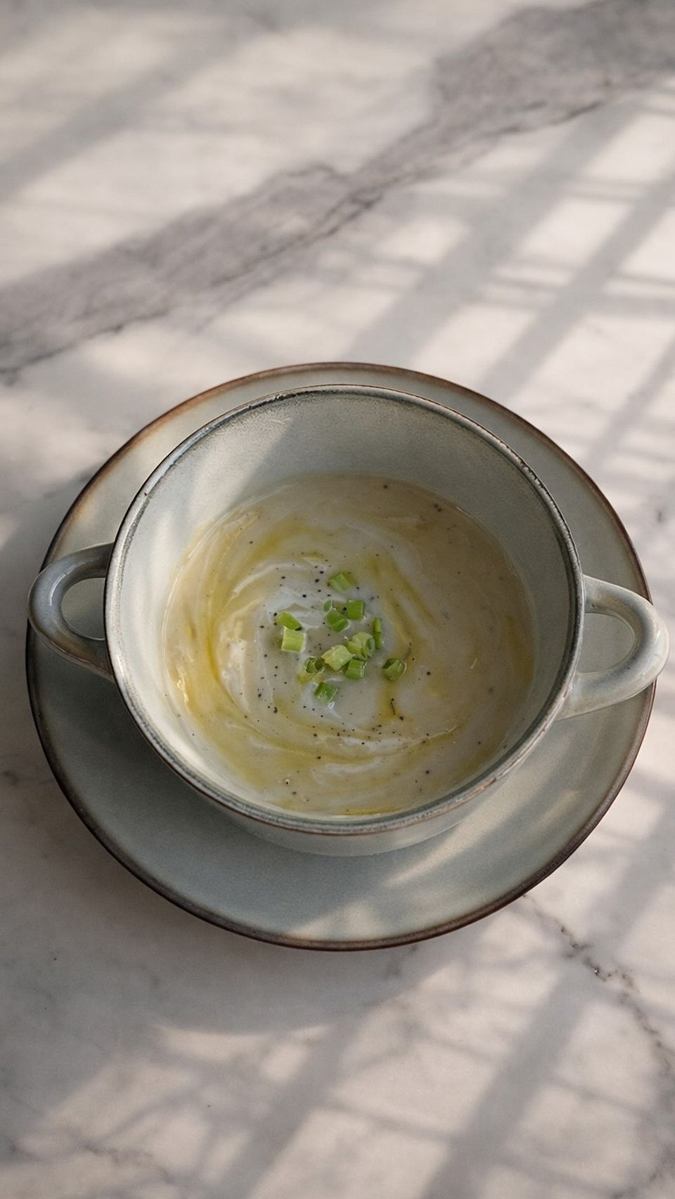 Ratatouille Potato Leek Soup